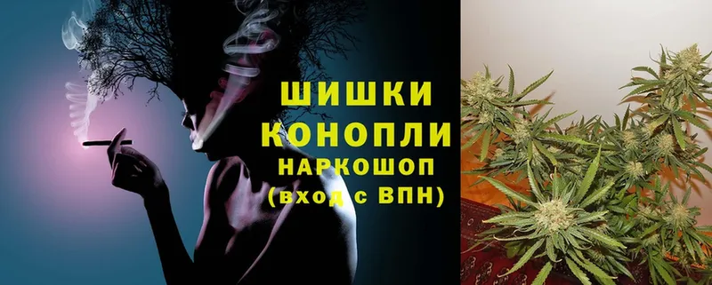 где найти   Злынка  Каннабис OG Kush 